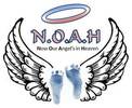 NOAH Foundation